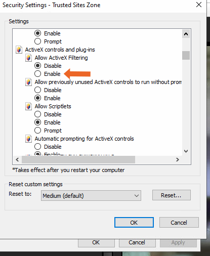 Enabling ActiveX in security settings